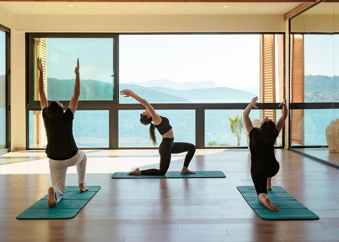 度假村 Le Meridien Bodrum 5*